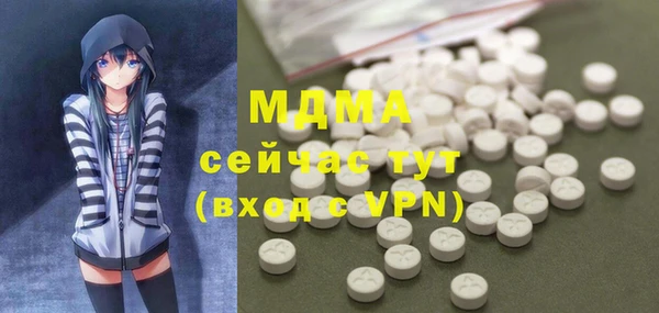 мдпв Вяземский