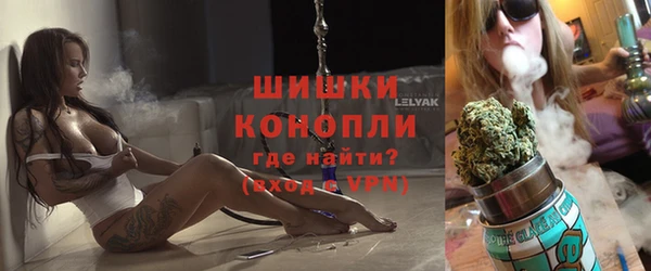 мдпв Вяземский