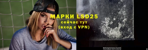 ПСИЛОЦИБИНОВЫЕ ГРИБЫ Верея