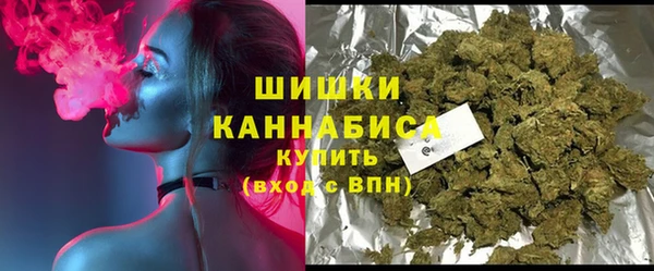 мдпв Вяземский