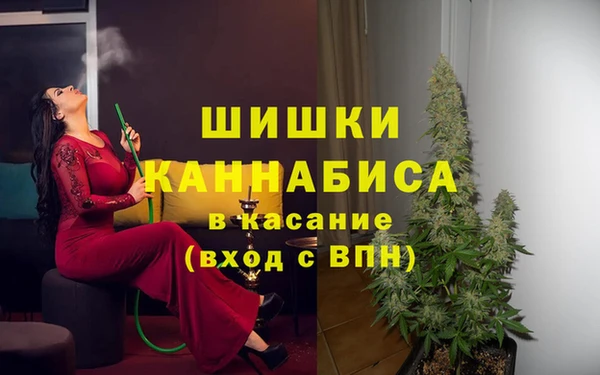 мдпв Вяземский